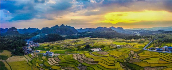 城市更新改造公司-信達(dá)電通